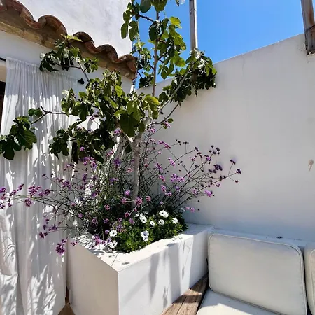 Huge Superb Duplex Old Town Casa de vacances *