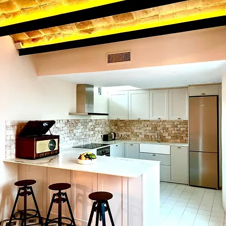 度假居 Huge Superb Duplex Old Town 锡切斯